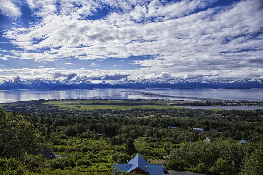 Homer Spit - Sven Michalczak